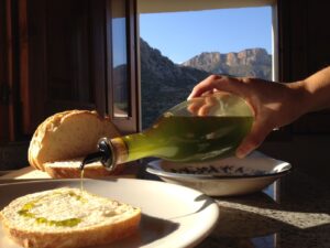 EXPERIENCIA ENTRE OLIVERES